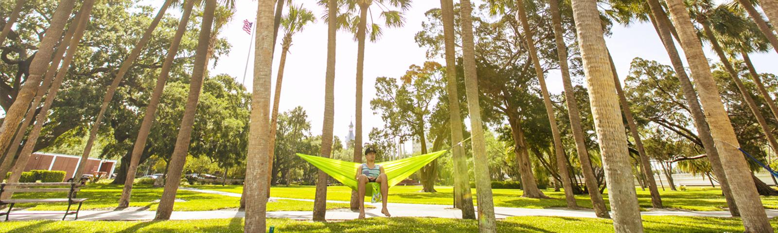 在植物公园棕榈树下的吊床上的学生